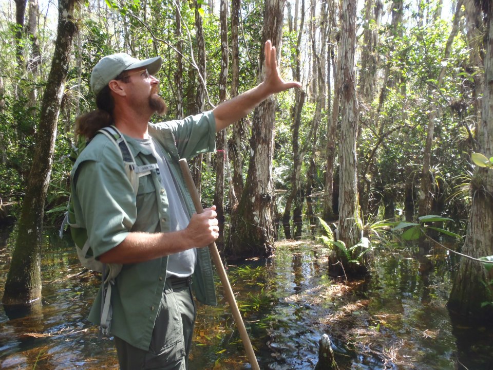 big-cypress-swamp-walk-1