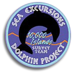 dolphin-logo